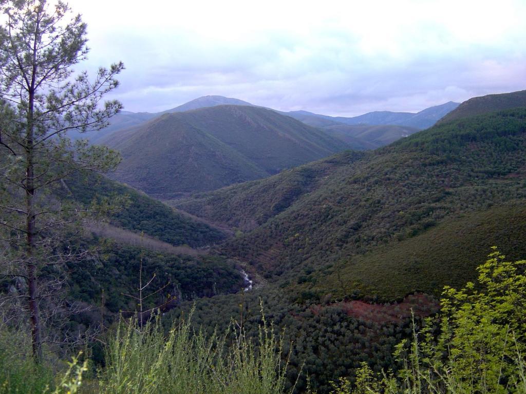 Alojamientos La Herrera San Esteban de la Sierra Chambre photo
